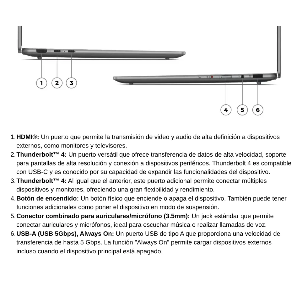 66.webp