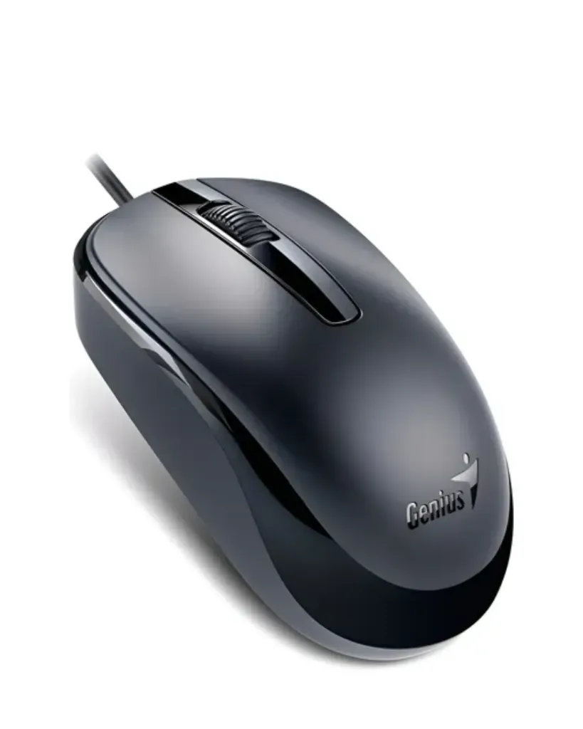 [00121] Mouse GENIUS DX-120 USB